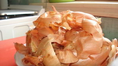 луковое сало