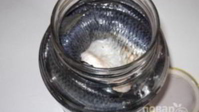 малосольная сельдь