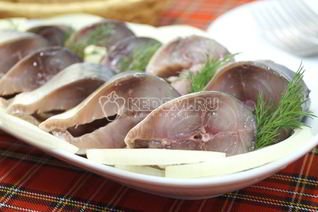 Малосольная скумбрия