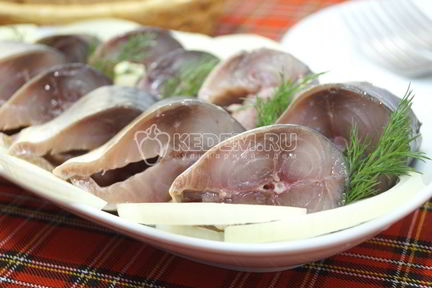 Малосольная скумбрия