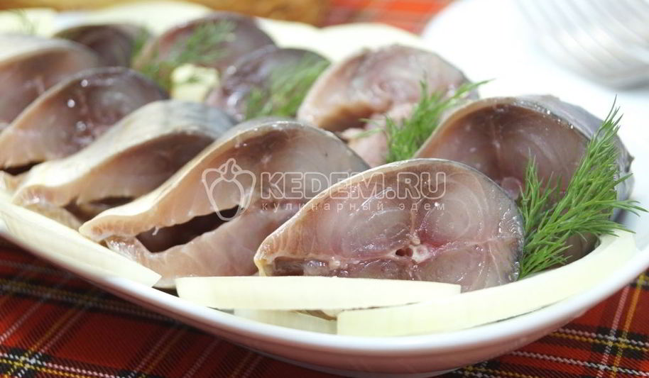 Рецепт малосольной скумбрии