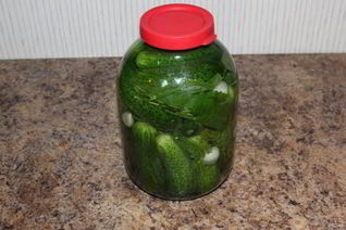 Малосольные огурчики горячим способом