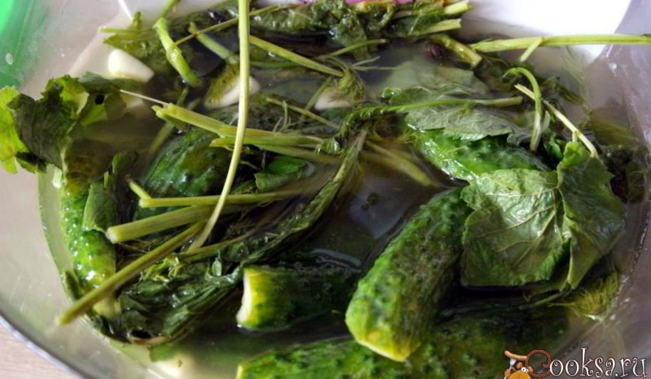 Рецепт малосольных огурцов на минералке суточные