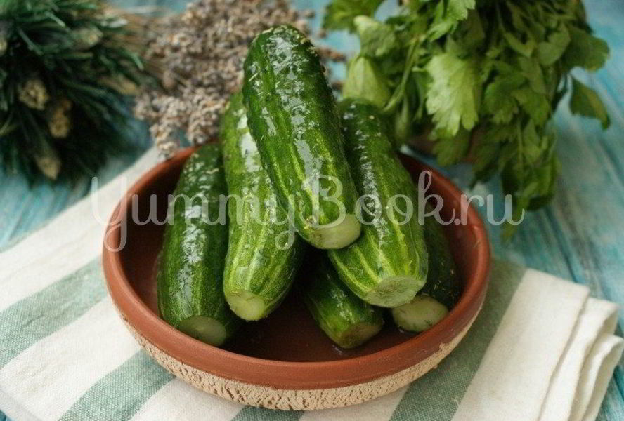Малосольные огурцы на минеральной воде