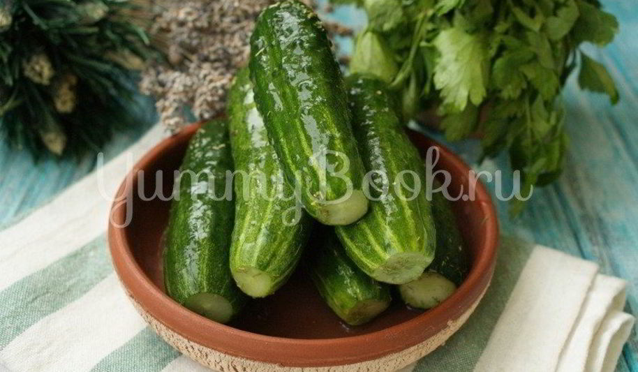 Рецепт малосольных огурцов на минеральной воде