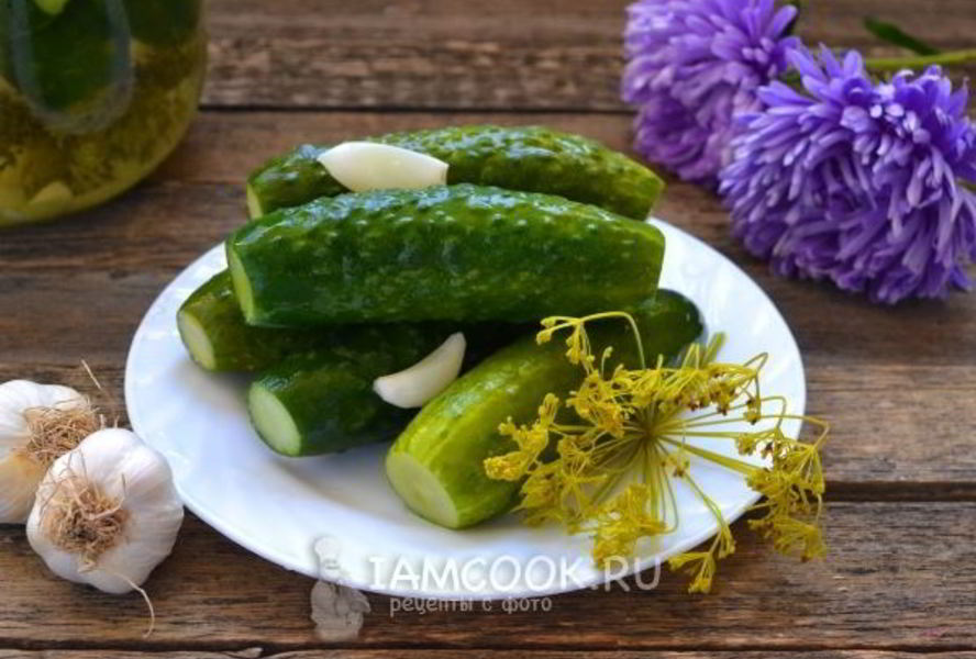 Малосольные огурцы с чесноком и укропом