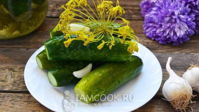 малосольные огурцы с чесноком и укропом