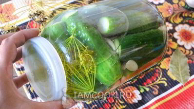 малосольные огурцы с чесноком и укропом