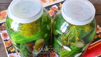 малосольные огурцы с чесноком и укропом