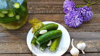 малосольные огурцы с чесноком и укропом