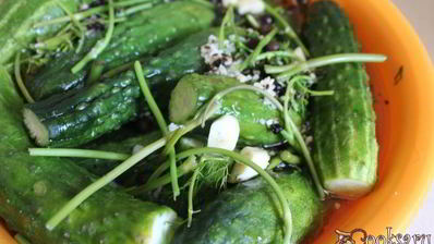 малосольные огурцы с молодой капустой