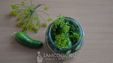 малосольные огурцы в банке