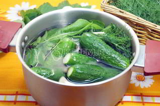 Малосольные огурцы в кастрюле