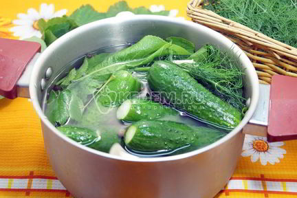 Малосольные огурцы в кастрюле