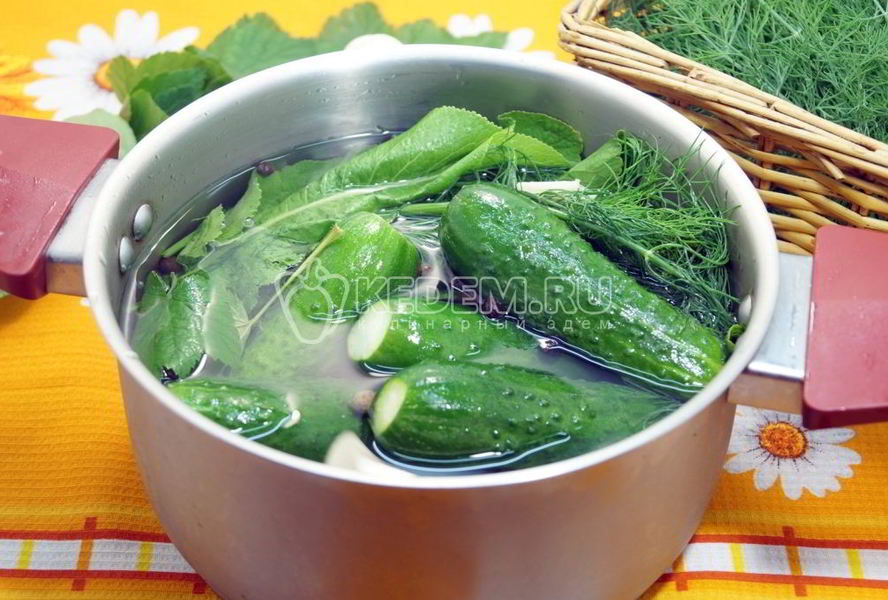 Малосольные огурцы в кастрюле