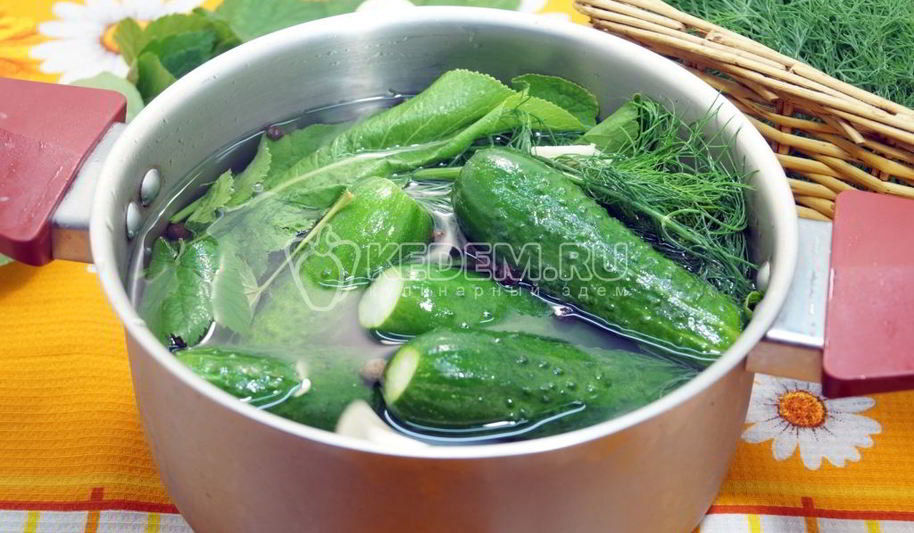 Рецепт малосольных огурцов в кастрюле