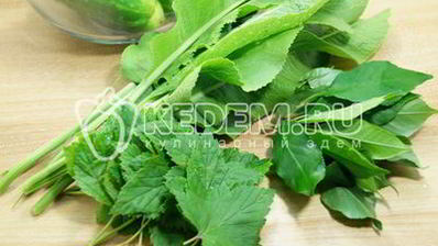 малосольные огурцы в кастрюле