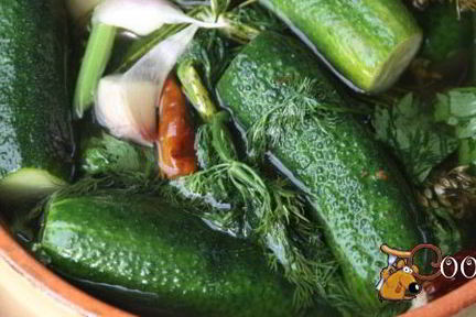 Малосольные огурцы в минеральной воде на зиму
