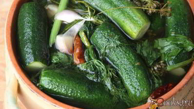 малосольные огурцы в минеральной воде на зиму