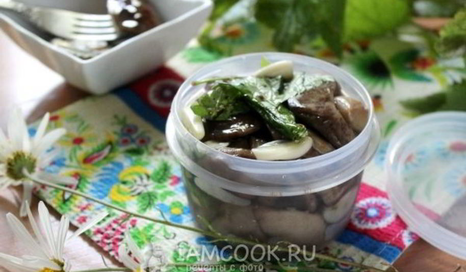 Рецепт малосольных подберезовиков