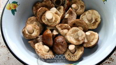 малосольные подберезовики