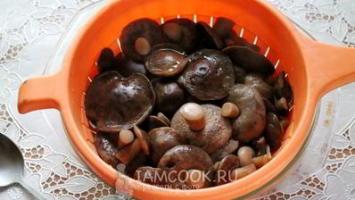 малосольные подберезовики