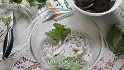 малосольные подберезовики