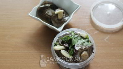 малосольные подберезовики