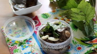 малосольные подберезовики