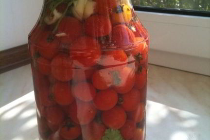 Малосольные помидорчики 3-х дневки