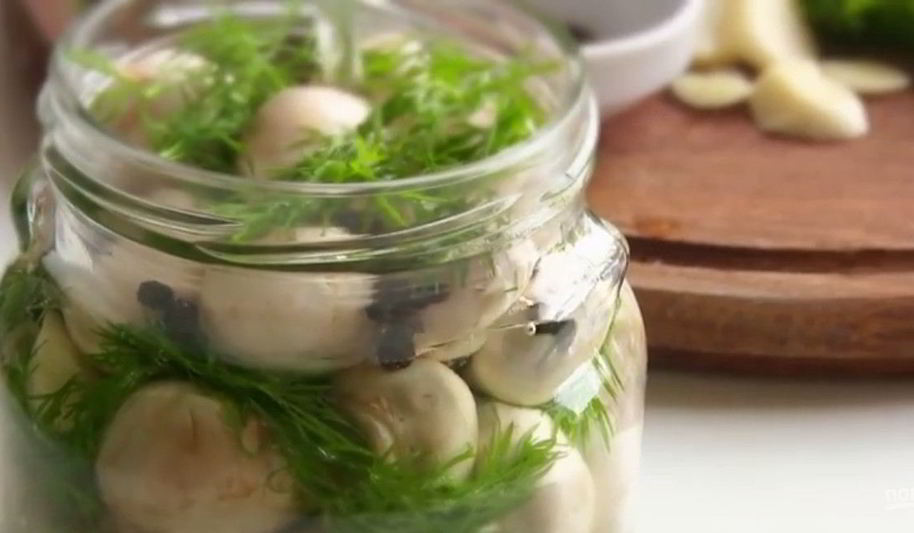 Рецепт малосольных шампиньонов