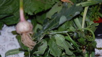 огурцы малосольные фирменные