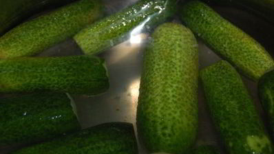 огурцы малосольные фирменные