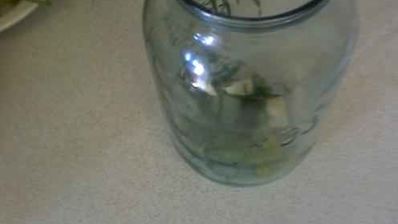 огурцы малосольные с эстрагоном