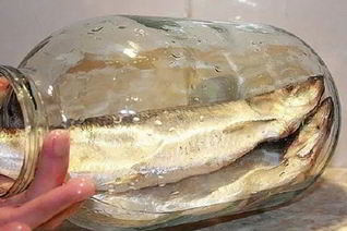 Соленая селедка