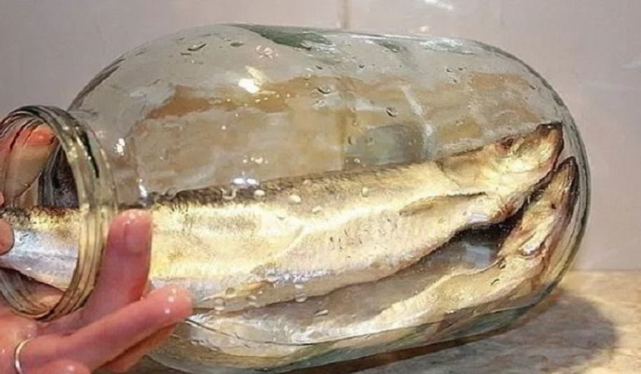 Рецепт соленой селедки