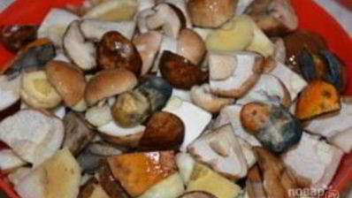 соленые белые грибы