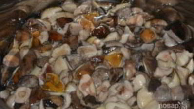 соленые белые грибы