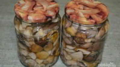 соленые белые грибы