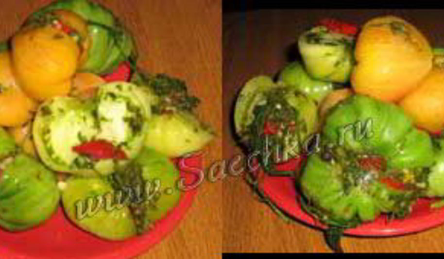 Рецепт соленых зеленых помидоров