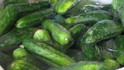 соленые хрустящие огурцы на зиму