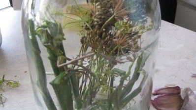 соленые хрустящие огурцы на зиму