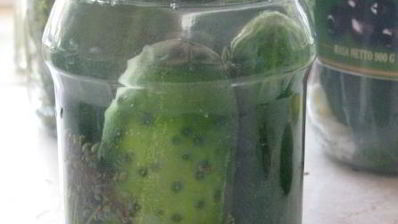 соленые хрустящие огурцы на зиму