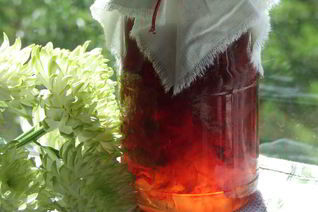 Изысканное варенье из лепестков роз