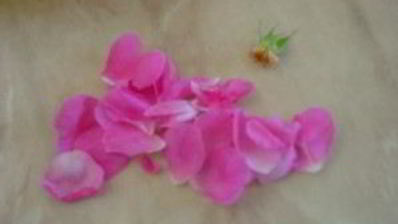 розовое варенье пятиминутка