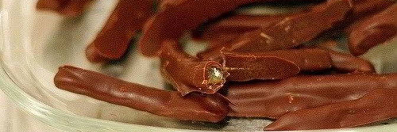 Цукаты апельсиновые в шоколаде