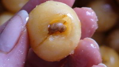 варенье из белой черешни