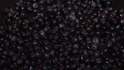 варенье из черники в мультиварке