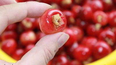 варенье из красно-желтой черешни с орехами