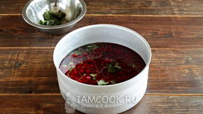 варенье из красной смородины 5-минутка